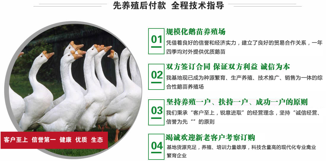 鹅厂主机