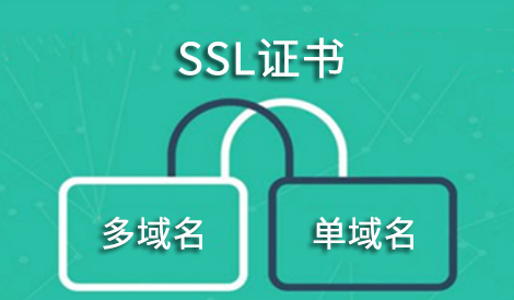 域名tl