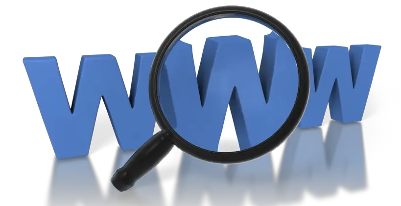 word常用域名